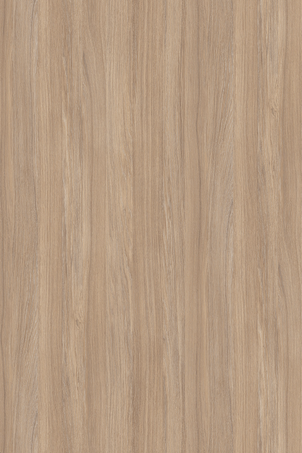 Melamine Faced Particle Board - K006 Amber Urban Oak | WOODca
